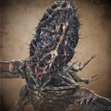 yorik